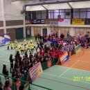 fest 49